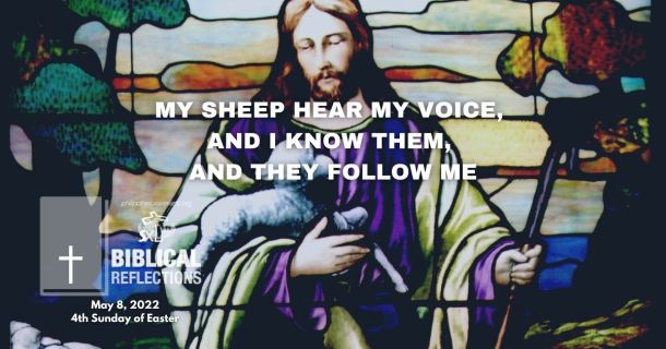 My sheep hear my voice, and I know them, and they follow me