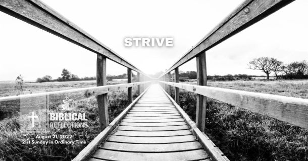 Strive