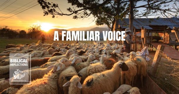 A Familiar voice