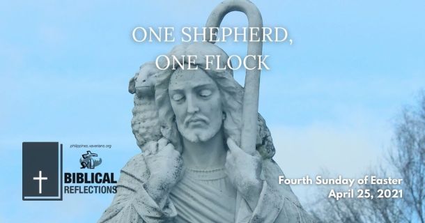One Shepherd, One Flock