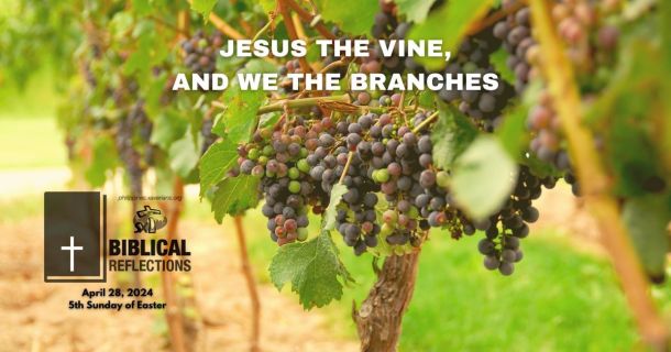 Jesus the Vine, and We the Branches