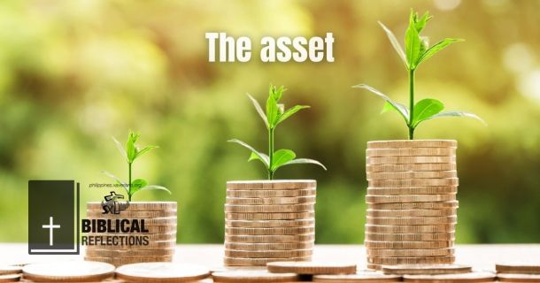 The asset